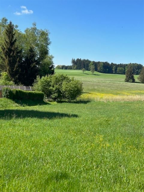 Vogt Renditeobjekte, Mehrfamilienhäuser, Geschäftshäuser, Kapitalanlage