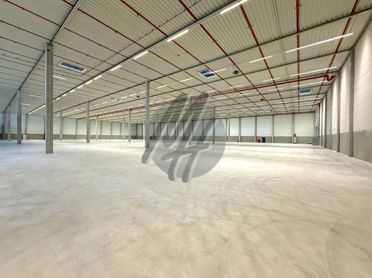 INFOS UNTER: 06171-586000