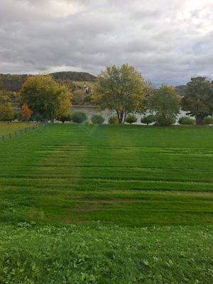 2. Blick von der Wohnung.jpg