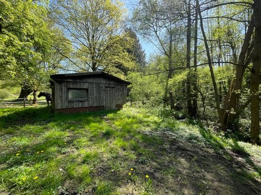 Holzhütte am Bachlauf