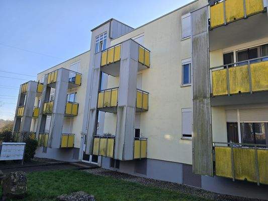 PHOTO-2026-03-06-12-04-33 3