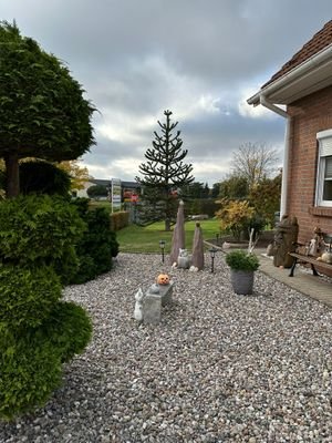 IMG_2010.JPEG