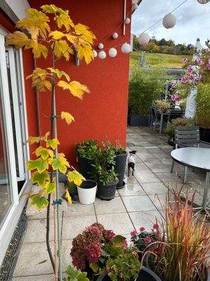 Terasse- Aussicht Tüllinger