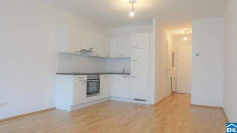 Wien Wohnungen, Wien Wohnung mieten