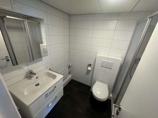 Saniertes Bad 21 22 Plaza Premium.jpg