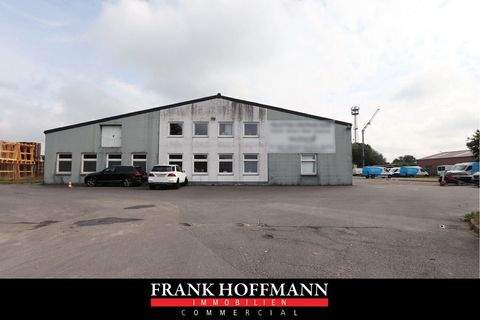 Kisdorf Halle, Kisdorf Hallenfläche