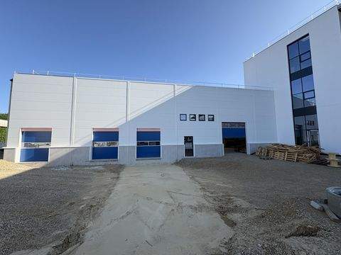 Wain Halle, Wain Hallenfläche