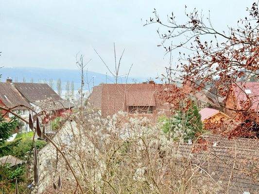 WhatsApp Image 2026-01-04 at 20.53.13 (12).jpeg