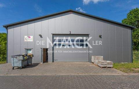 Vögelsen Halle, Vögelsen Hallenfläche