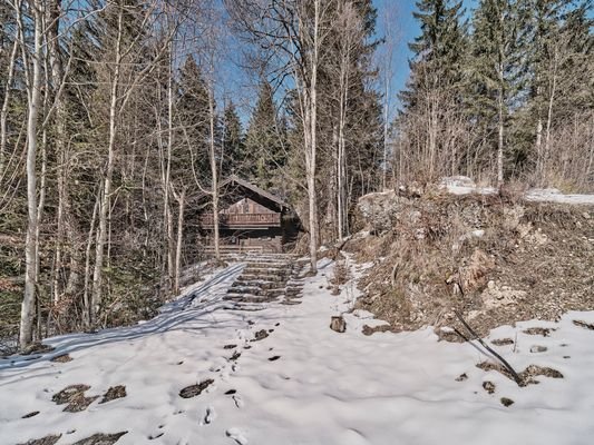 Alpen_Immo_Grundstück_Hütte_Neuhaus_01