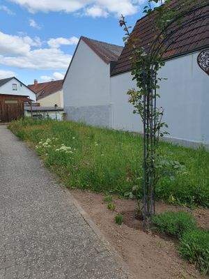 ein Blick über das grüne Grundstück