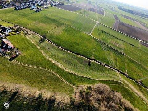 Ichenhausen / Rieden an der Kötz Bauernhöfe, Landwirtschaft, Ichenhausen / Rieden an der Kötz Forstwirtschaft