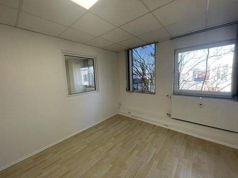 Dortmund Halle, Dortmund Hallenfläche