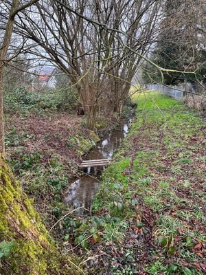 Bachlauf vor Fl.Nr. 13