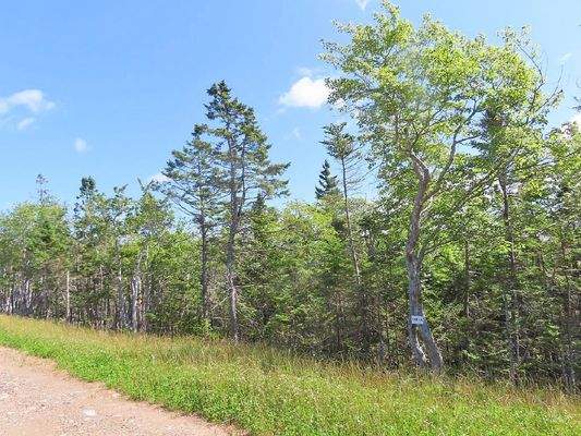 Cape Breton - Tolles Atlantik-Grundstück in herrli
