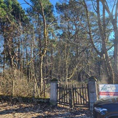 Blick auf das Grundstück