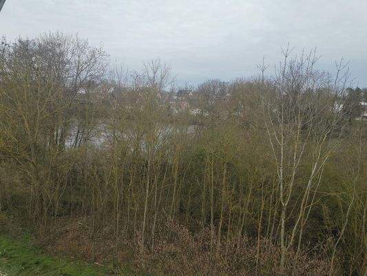 Blick auf den Weiher