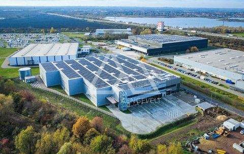 Magdeburg Halle, Magdeburg Hallenfläche