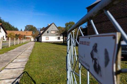 Rietschen / Daubitz Häuser, Rietschen / Daubitz Haus kaufen