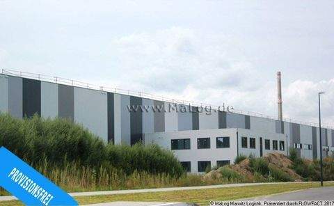 Oberkrämer Halle, Oberkrämer Hallenfläche