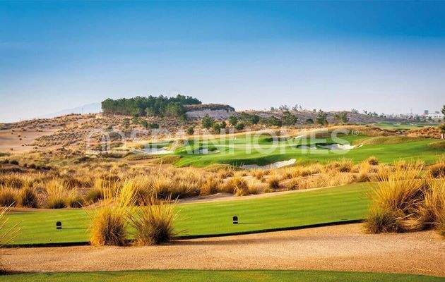 Bungalow Style Villas with Pools in Condado de Alhama