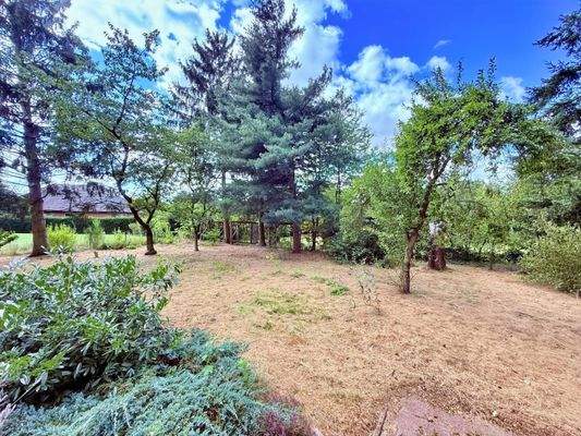 Gartenansicht mit Baumbestand