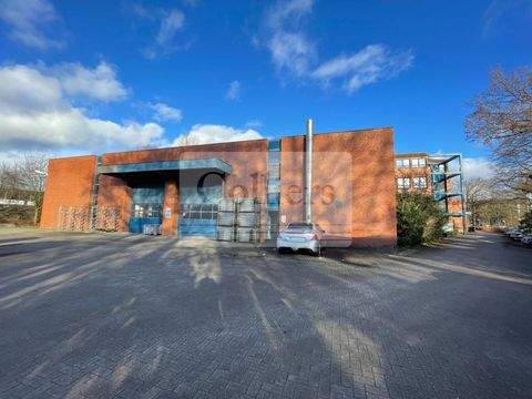 Norderstedt Halle, Norderstedt Hallenfläche