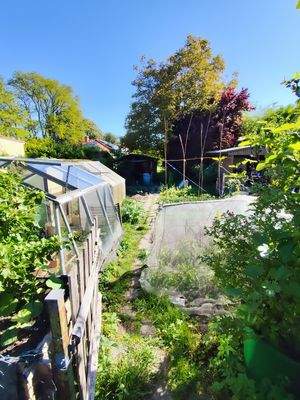 Gartenbereich hinter dem Haus