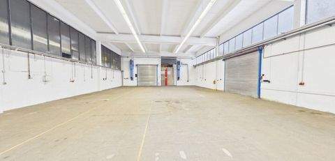 Dillenburg Halle, Dillenburg Hallenfläche