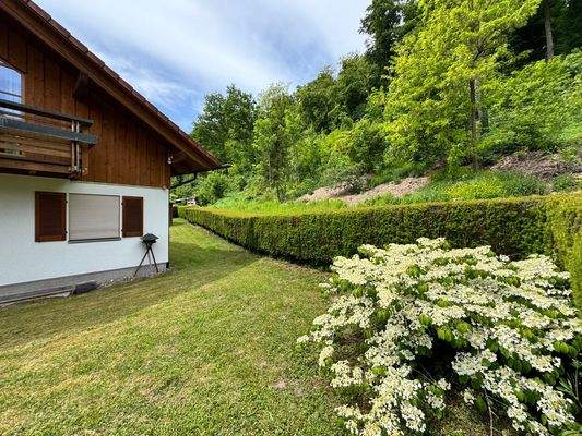 Der Hang zur Rückseite