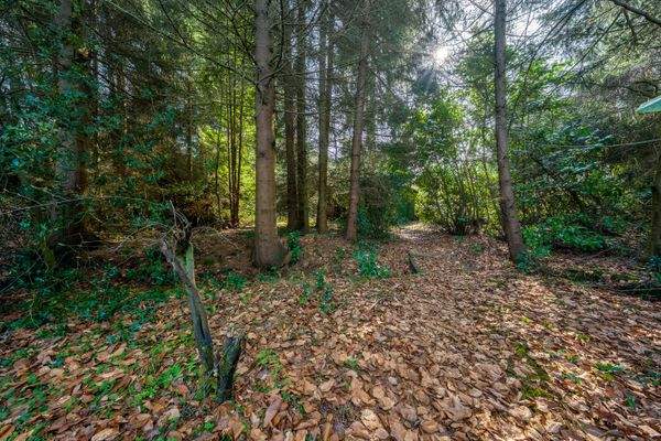 DI - Forbes Global Properties