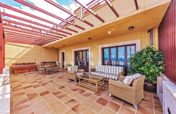 Ground floor - Terrace