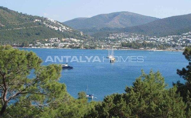 Seafront Flats with Stunning Views in Bodrum