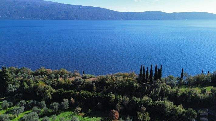 dji_fly_20241104_120446_280_1730718521158_photo_op