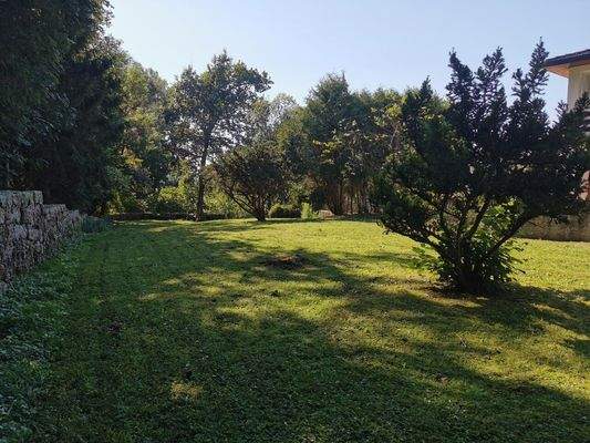 eingewachsene, große Parkanlage