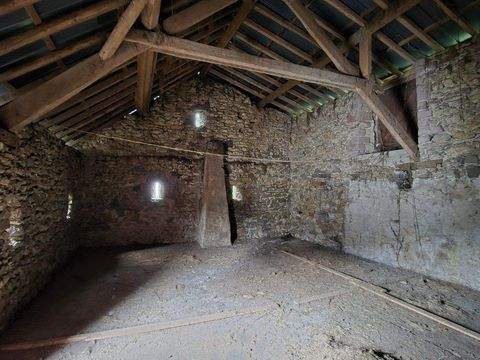 Walsdorf Halle, Walsdorf Hallenfläche