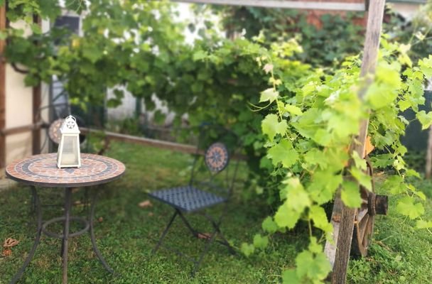 gemütlicher Garten mit Schattenplätze unter einer Weinlaube!