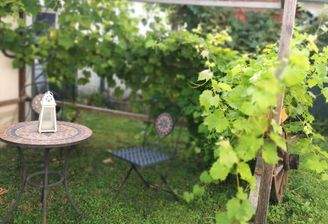 gemütlicher Garten mit Schattenplätze unter einer Weinlaube!