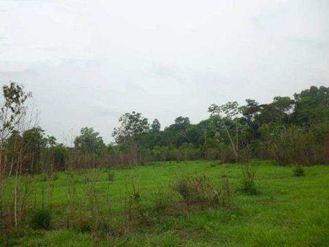 Presidente Figueiredo Grundstücke, Presidente Figueiredo Grundstück kaufen