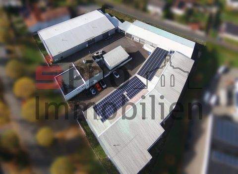 Neunkirchen Halle, Neunkirchen Hallenfläche