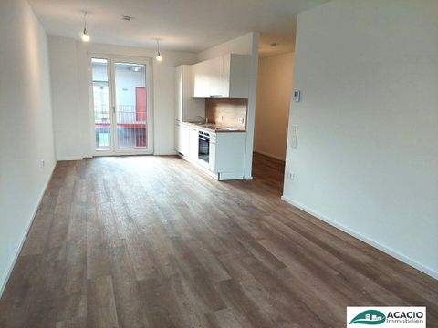 Pixendorf Wohnungen, Pixendorf Wohnung mieten