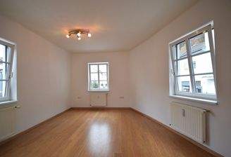 Wohnraum - Kleines gemütliches Apartment nähe Linzergasse Miete Andräviertel Salzburg