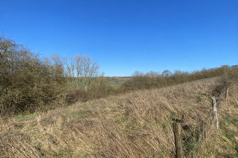 Oberweis Bauernhöfe, Landwirtschaft, Oberweis Forstwirtschaft