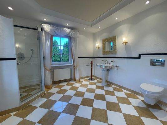 Zweites Tageslichtbad - unbenutzt1