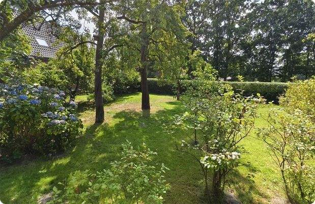 Garten mit Obstbäumen