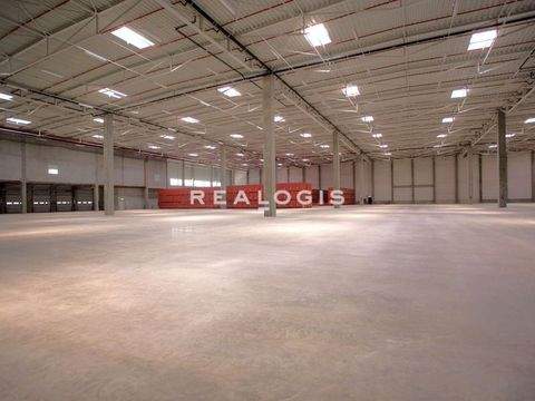 Lünen Halle, Lünen Hallenfläche