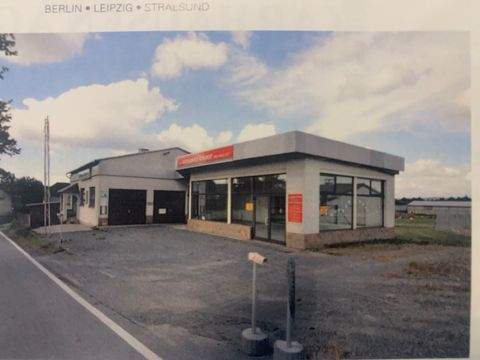 Tanna Halle, Tanna Hallenfläche