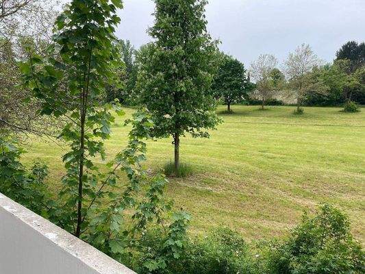 Doc Juni 04, 2025, 13.12(1)_07.jpg