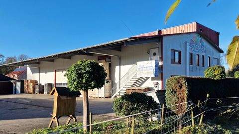 Vechta Halle, Vechta Hallenfläche