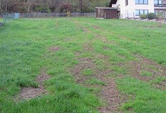 975 m² mit leichter Hanglage